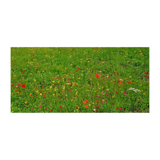 Geschenkartikel: Bienenweide im Oster-Eierkarton Blumen 2K1660b