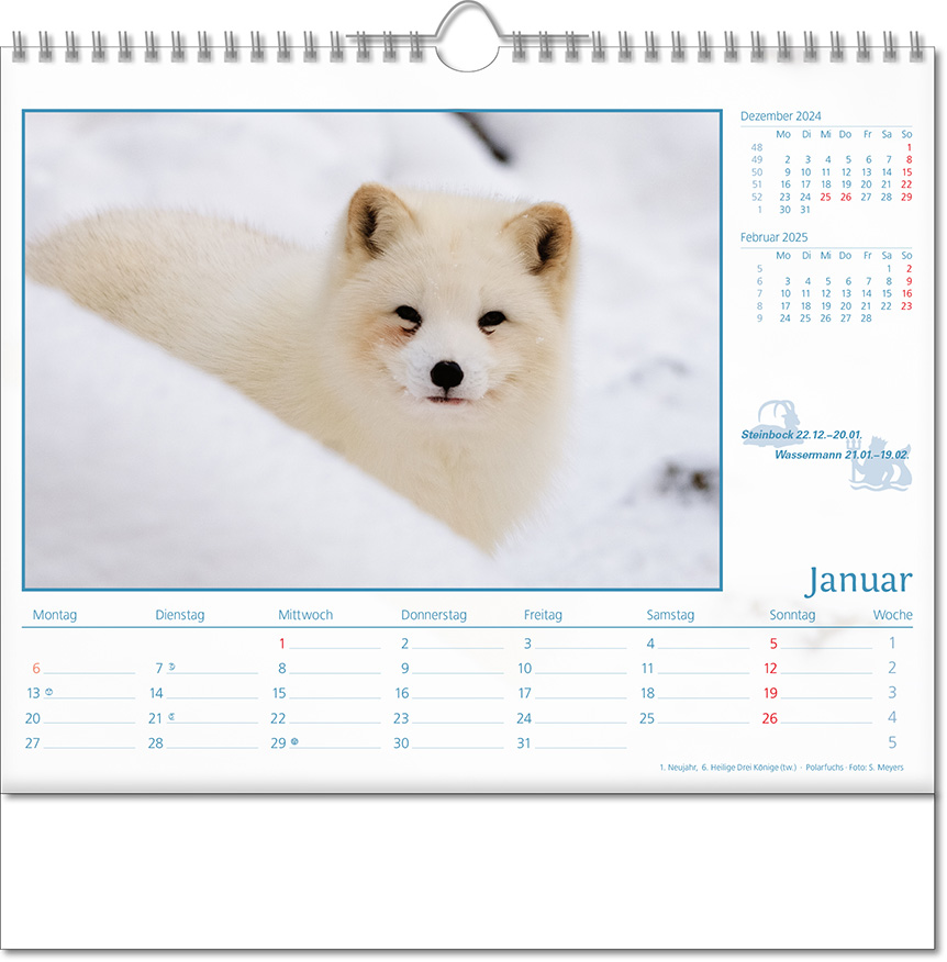 Kalender "Tierwelt" im Format 30 x 29 cm, mit Wire-O-Bindung und verlängerter Rückwand