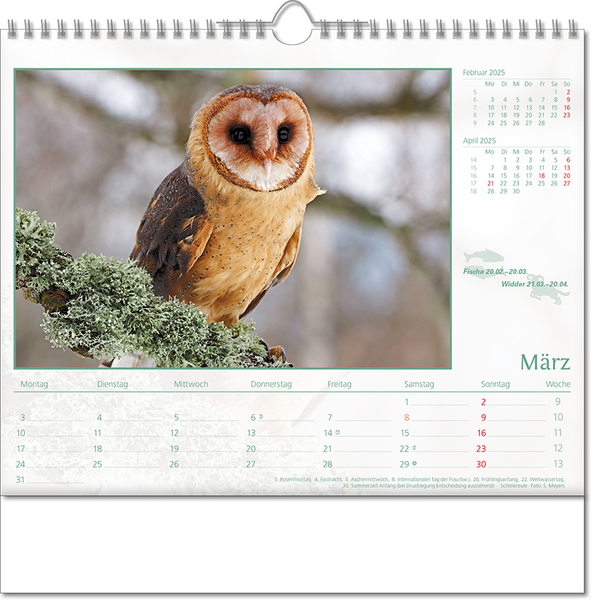 Kalender "Tierwelt" im Format 30 x 29 cm, mit Wire-O-Bindung und verlängerter Rückwand