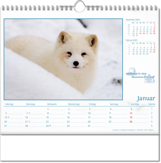 Kalender "Tierwelt" im Format 30 x 29 cm, mit Wire-O-Bindung und verlängerter Rückwand