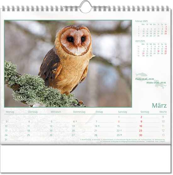 Kalender "Tierwelt" im Format 30 x 29 cm, mit Wire-O-Bindung und verlängerter Rückwand