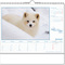 Kalender "Tierwelt" im Format 30 x 29 cm, mit Wire-O-Bindung und verlängerter Rückwand