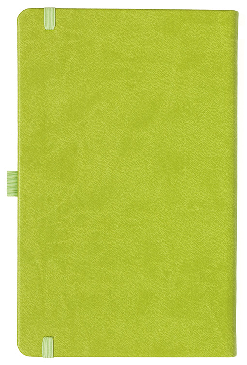 Notizbuch Style Medium im Format 13x21cm, Inhalt liniert, Einband Slinky in der Farbe Lime