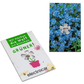 Samen-Karte-Mini Blume - Vergissmeinnicht