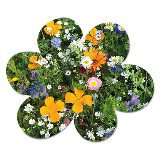 Samenpapier in Klappkärtchen Blume - Blümchen