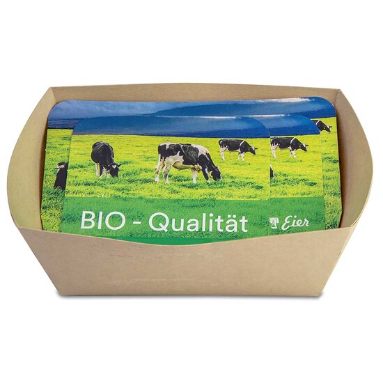 Pflanzodrom mit Samen - Sonnenblume