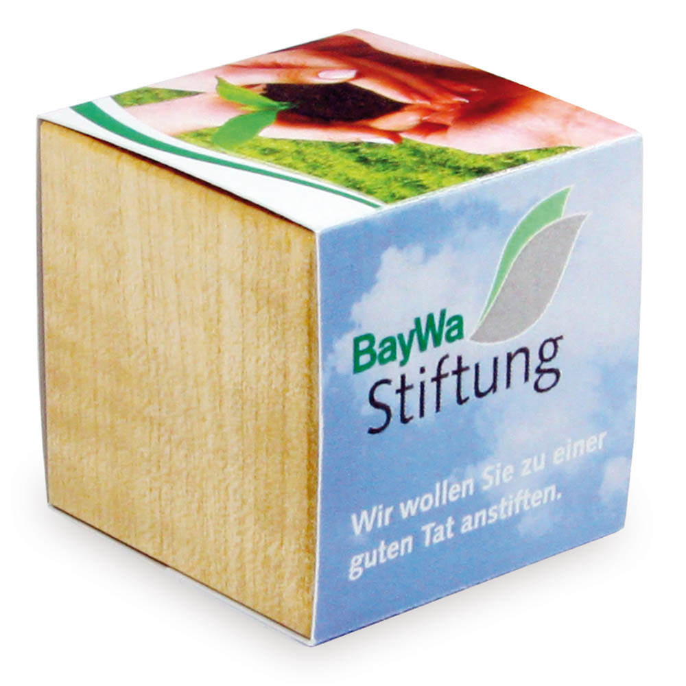 Pflanz-Holz mit Samen - Schnittlauch