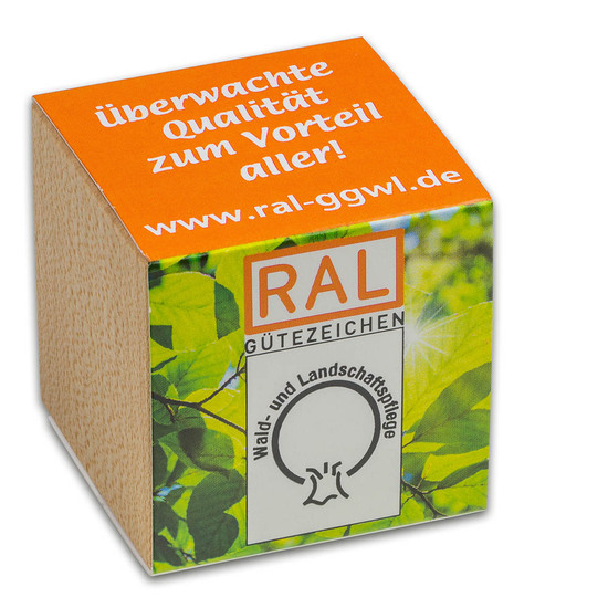 Pflanz-Holz mit Samen - Margerite, 2 Seiten gelasert