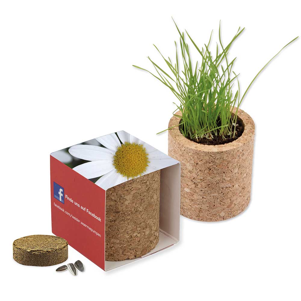 Pflanz-Kork rund mit Samen - Margerite, Lasergravur