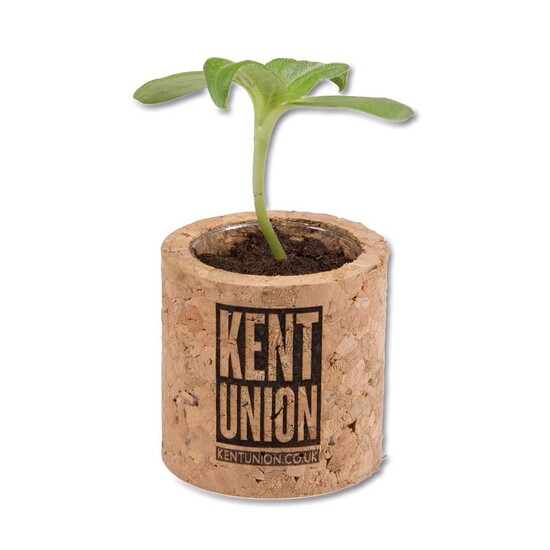 Pflanz-Kork rund mit Samen - Margerite, Lasergravur