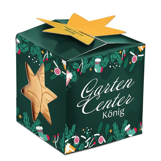Pflanz-Holz Maxi Star-Box mit Samen - Margerite