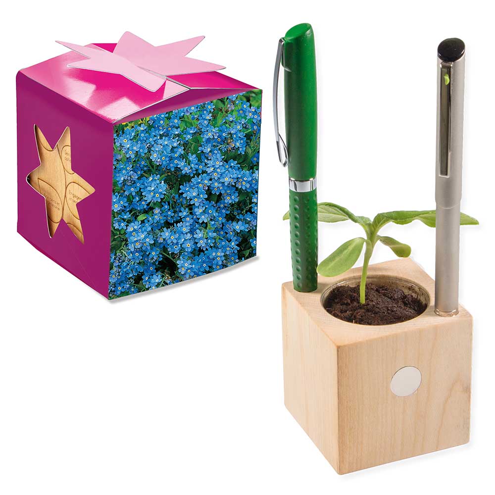 Pflanz-Holz Büro Star-Box mit Samen - Vergissmeinnicht, 1 Seite gelasert