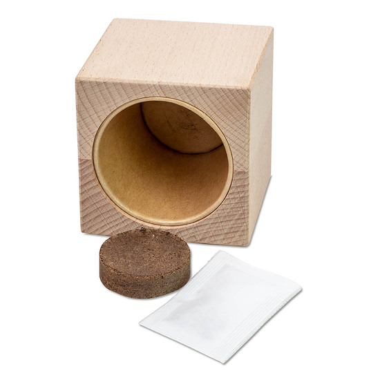 Pflanz-Holz Grande mit Samen - Gartenkresse