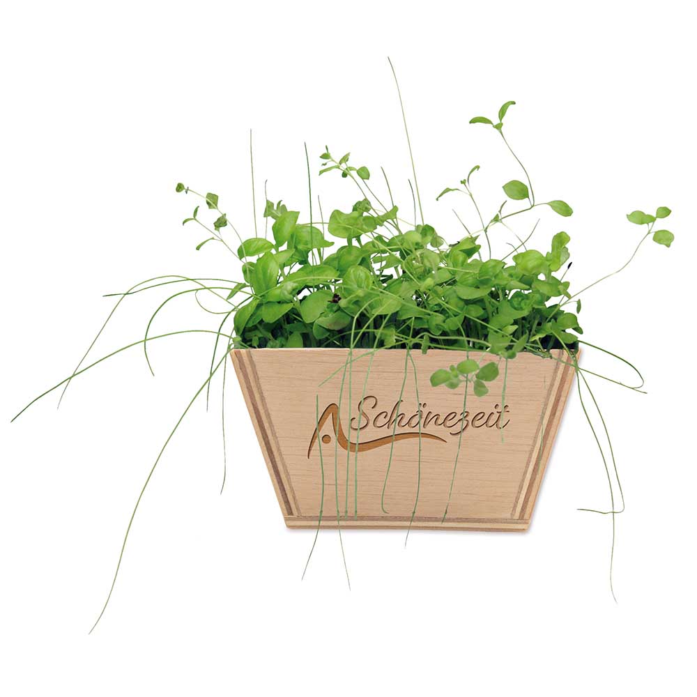 Mini-Beet mit Samen - Thymian, Lasergravur