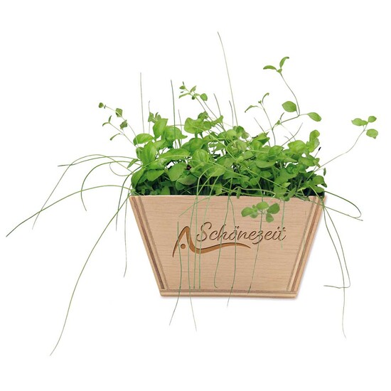 Mini-Beet mit Samen - Thymian, Lasergravur