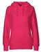 Ladies` Hoodie