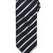 Sports Stripe Tie