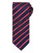Sports Stripe Tie
