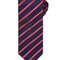 Sports Stripe Tie